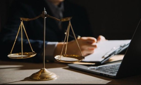 金风资本 女子带6只狗入公园，男子被狗咬打伤女子 法院判男子承担60%责任