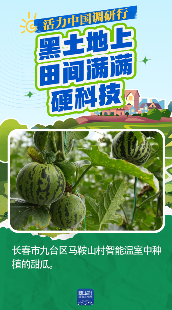 金瑞鼎盛 活力中国调研行丨一产“焕新”：黑土地上，田间满满硬科技