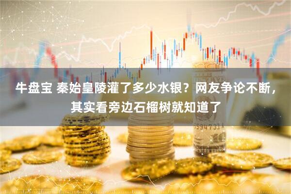 牛盘宝 秦始皇陵灌了多少水银？网友争论不断，其实看旁边石榴树就知道了