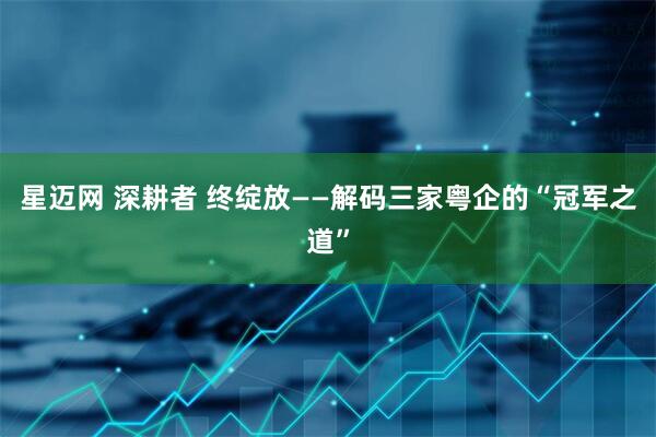 星迈网 深耕者 终绽放——解码三家粤企的“冠军之道”