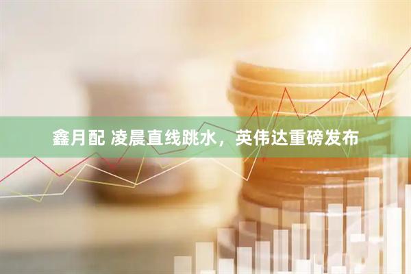 鑫月配 凌晨直线跳水，英伟达重磅发布